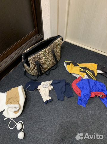 Вещи для животных