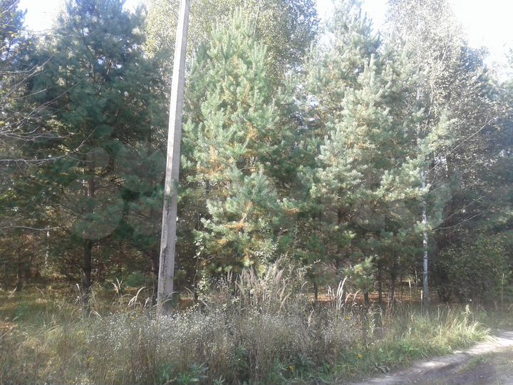 Участок 30 сот. (СНТ, ДНП)