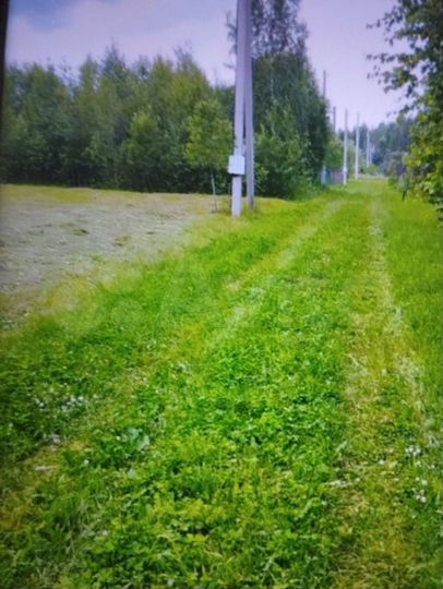 Участок 13 сот. (СНТ, ДНП)