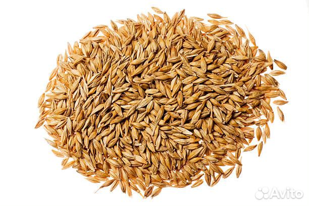 Комбикорм, зерно