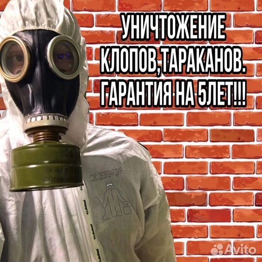 Дезинфекция помещений