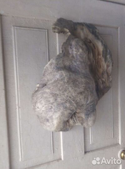 А. Дрифтвуд