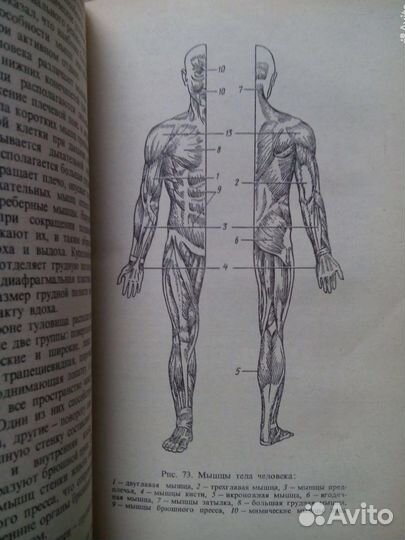 Биология. Н. Ковалев. 1986г