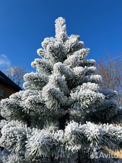Ель искуственная заснеженная