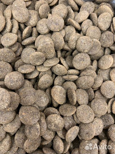 Корм для взрослых собак регуляр с говядиной