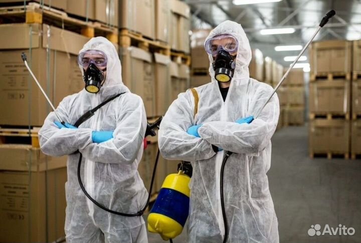 Дезинфекция Уничтожение тараканов клопов насекомых