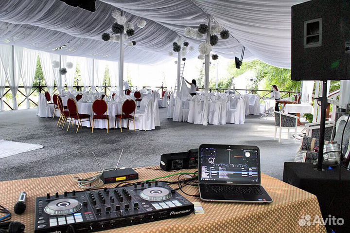 Ведущая Тольятти,Жигулевск, Самара