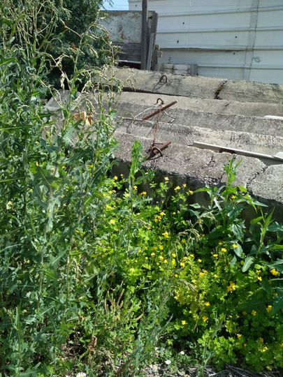 Участок 5 сот. (ИЖС)