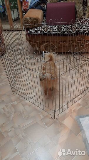Клетка вольер манеж для животных