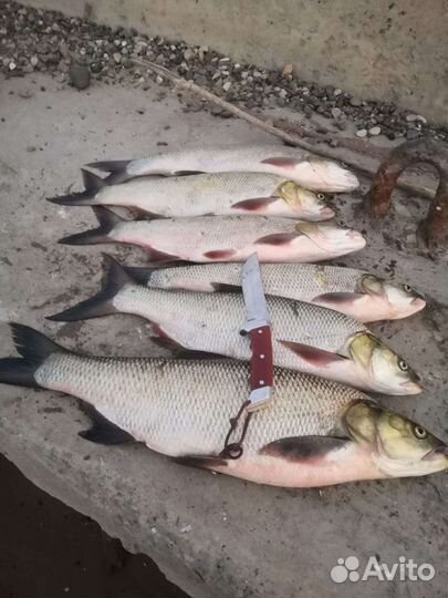 Рыбалка и отдых