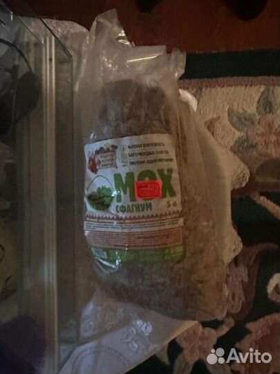 Террариум для рептилий бу