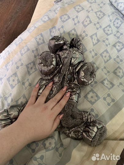 Одежда для мелких пород собак