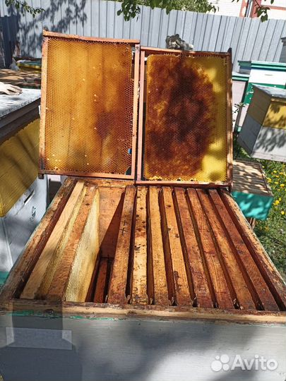 Продам ульи для пчел