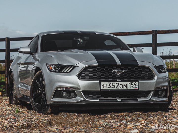 Аренда авто Ford Mustang /Chevrolet Camaro