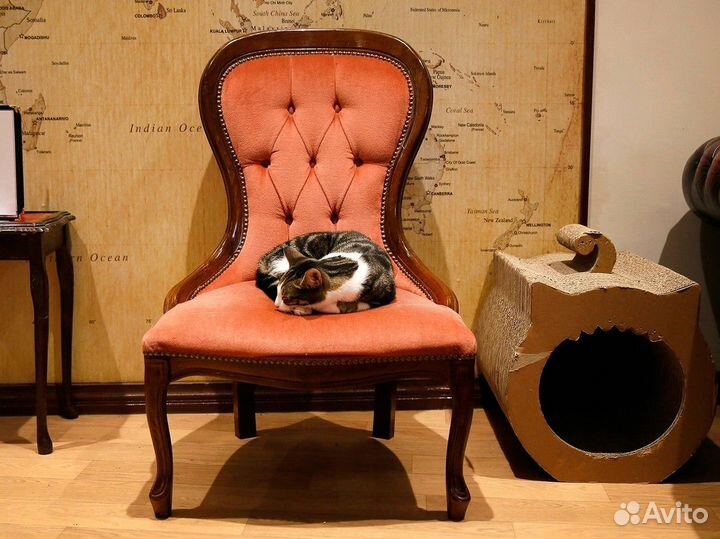 Ищу инвестора или партнёра