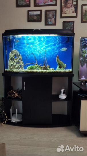 Аквариум с рыбками бу