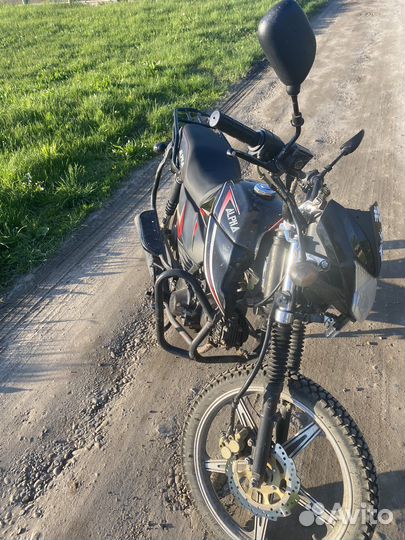 Alpha rs 12