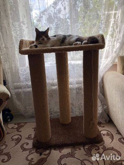 Когтеточка, домик для кошки