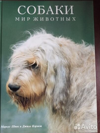 Художественный альбом Собаки