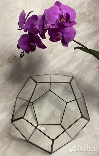 Формы, флорариум