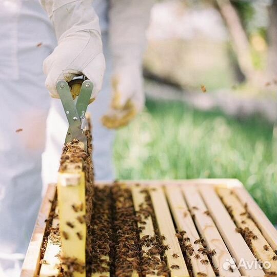 Натуральный мед с семейной пасеки