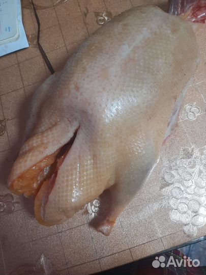 Мясо домашней птицы