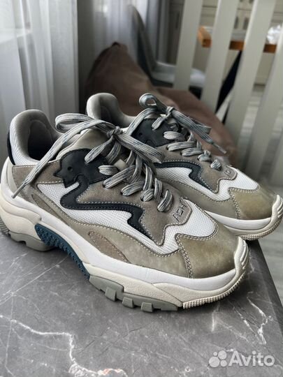 Редкие Ash addict 38