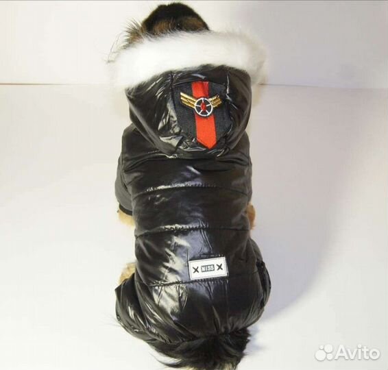 Одежда для маленьких собак зима