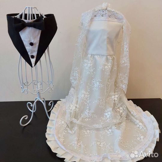 Одежда для животных