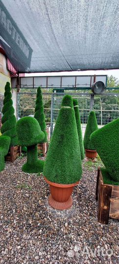 Топиарные фигуры