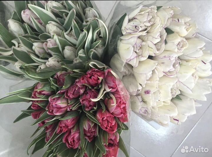 Тюльпаны букет цветов