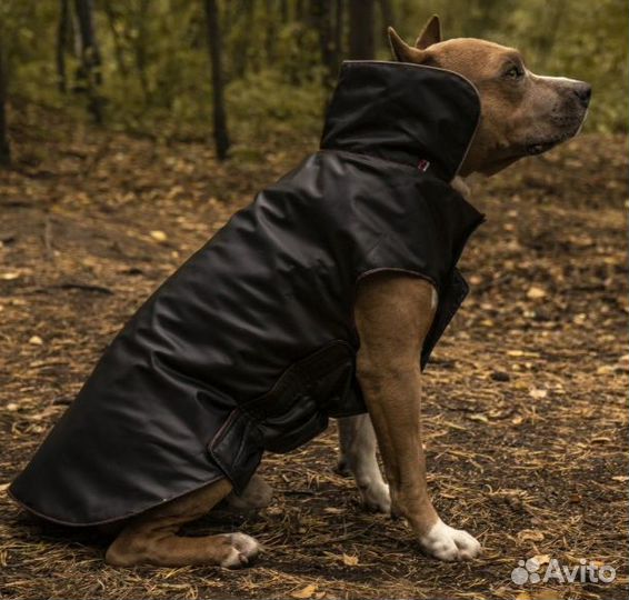 Куртка\попона для собак крупных пород. Новая