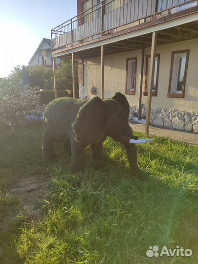 Топиари фигура Слон