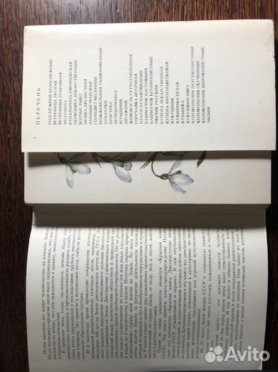 Растения под охраной, Набор открыток 1983