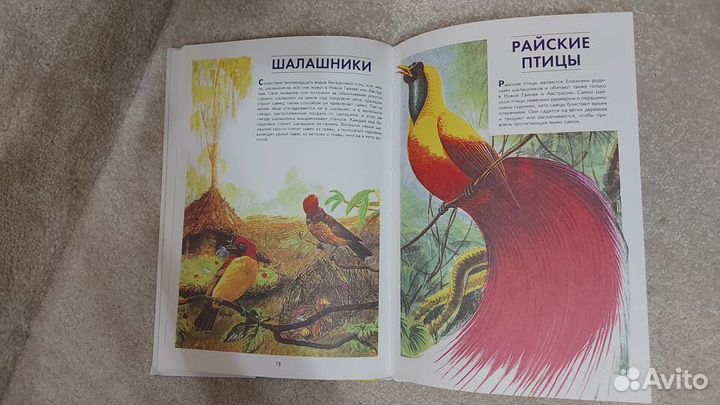 Книга (формат А4)