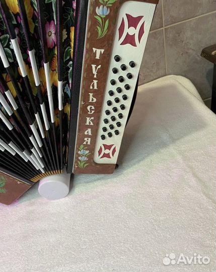 Современная Тульская Красавица 301 М