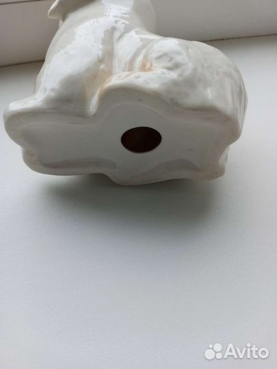 Пекинес СССР