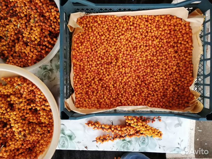 Облепиха (ягоды и сок), базилик, чеснок