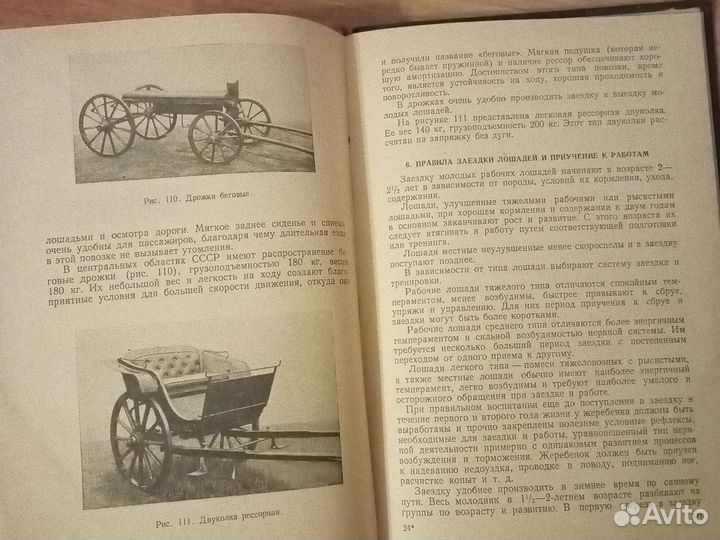 Коневодство