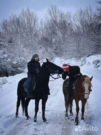 Предложение услуг