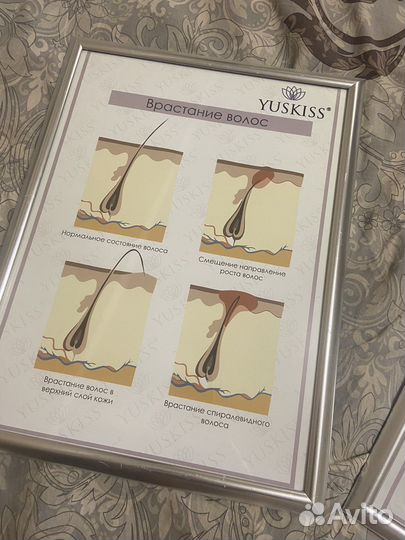 Плакаты в кабинет депиляции 3 шт