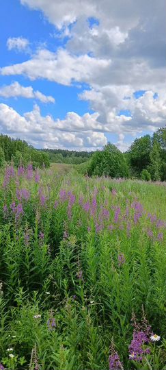 Участок 30 сот. (ИЖС)