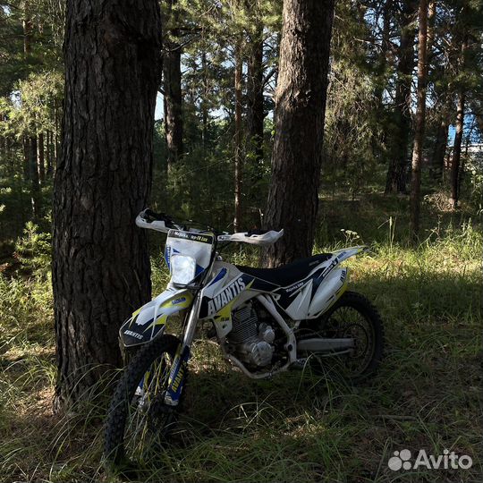 Avantis fx 250 lux