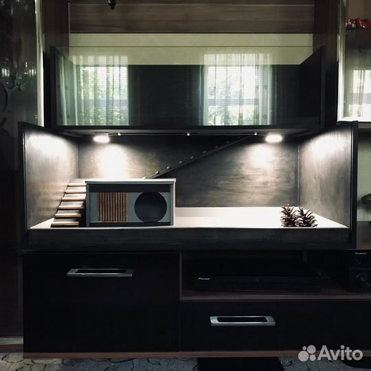 Витрина для морской свинки, ежика