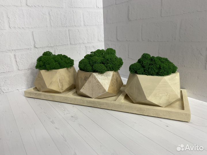 Гипсовое кашпо со стабилизированным мхом 