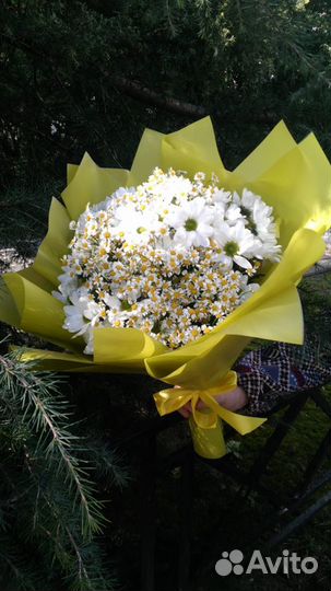 51 роза