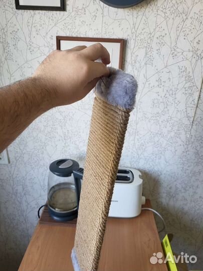 Когтеточка для кошек