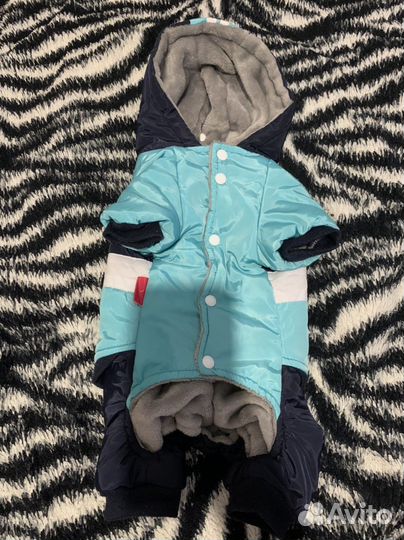 Зимний костюм для собак