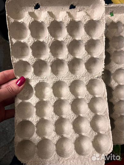 Упаковка для перепелиных яиц бумажная