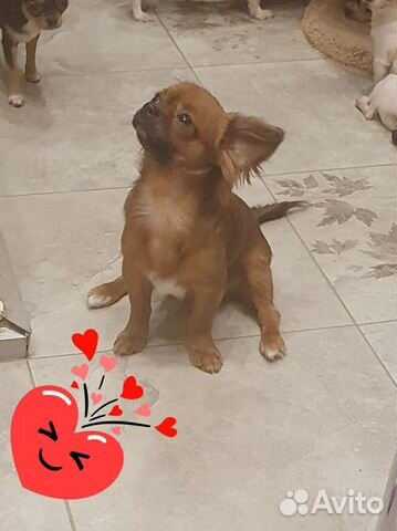 Супер мини и мелкий стандарт